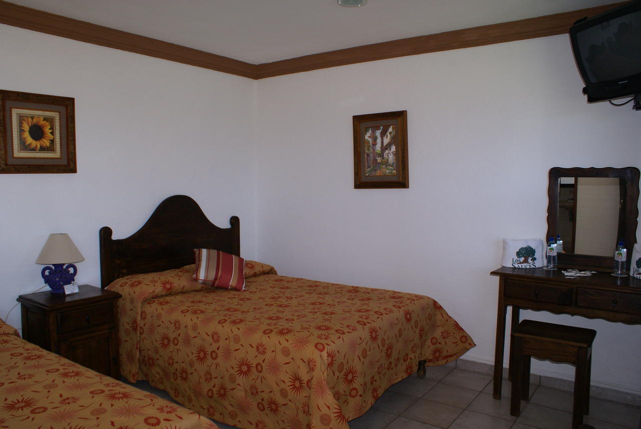 Hotel Los Sauces Villa Del Carbon Cameră foto